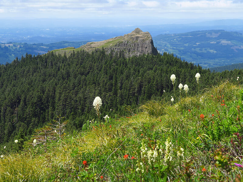 Sturgeon Rock [Silver Star Mountain, Gifford Pinchot National Forest, Skamania County, Washington]