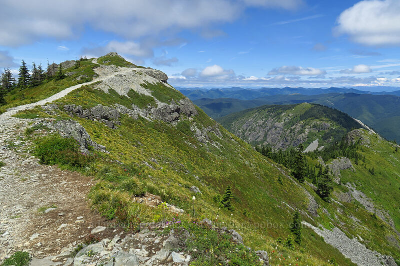 Silver Star Mountain & Starway Ridge [Silver Star Mountain, Gifford Pinchot National Forest, Skamania County, Washington]