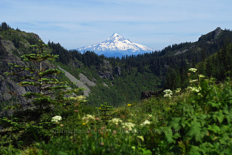 Mount Hood [Silver Star Trail, Gifford Pinchot National Forest, Skamania County, Washington]