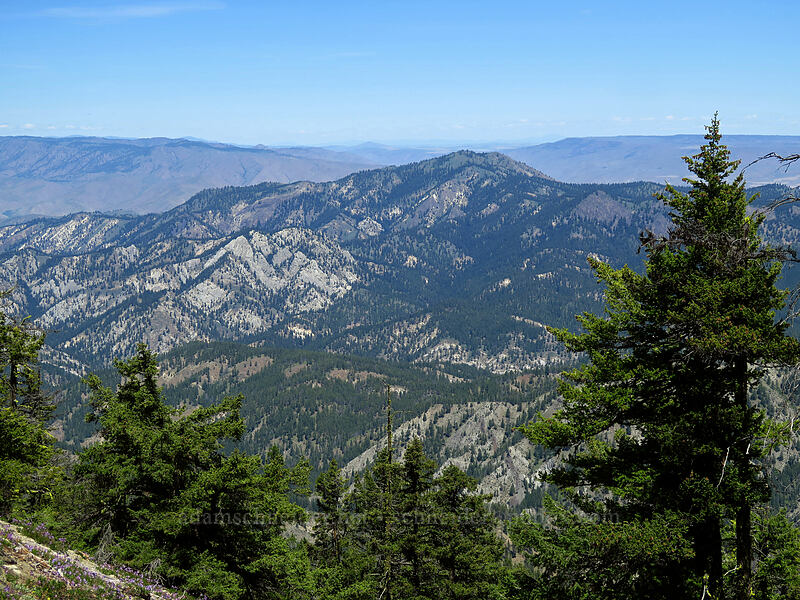 Horse Lake Mountain [Tronsen Ridge Trail, Wenatchee National Forest, Chelan County, Washington]