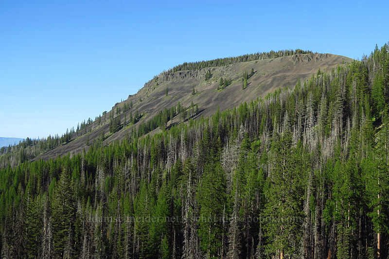 Diamond Head [Forest Road 9712, Wenatchee National Forest, Kittitas County, Washington]