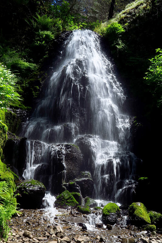 Fairy Falls [Wahkeena Trail, Mt. Hood National Forest, Multnomah County, Oregon]