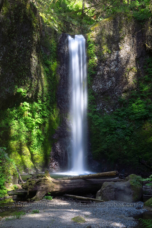 Weisendanger Falls [Larch Mountain Trail, Mt. Hood National Forest, Multnomah County, Oregon]