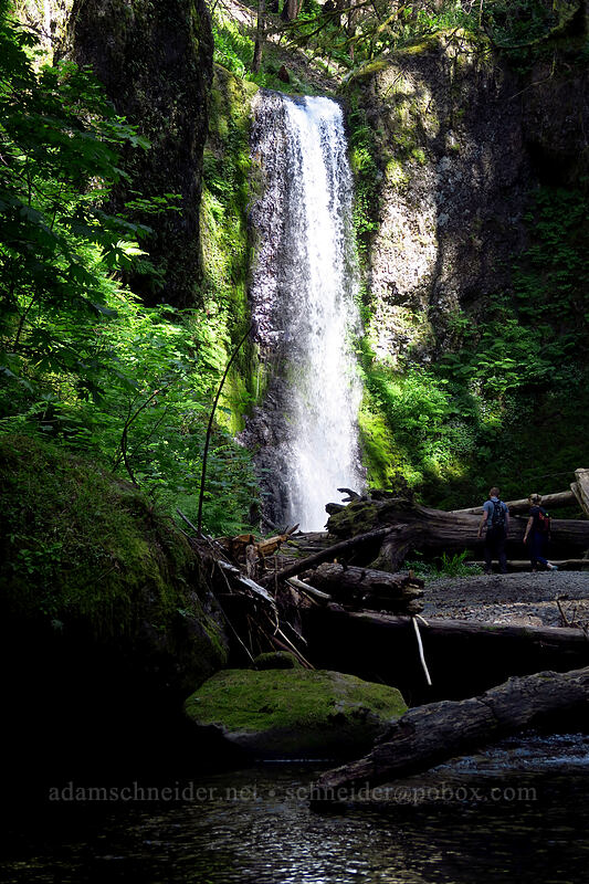 Weisendanger Falls [Larch Mountain Trail, Mt. Hood National Forest, Multnomah County, Oregon]