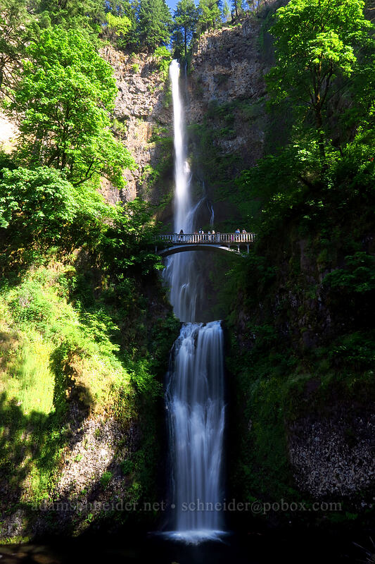 Multnomah Falls [Multnomah Falls Trail, Mt. Hood National Forest, Multnomah County, Oregon]