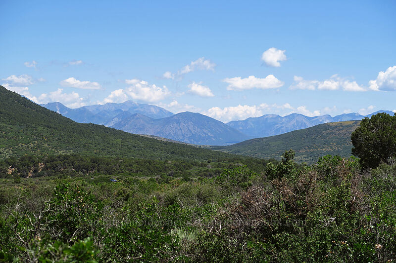 mountains to the northeast [Cedar Point, Black Canyon of the Gunnison National Park, Montrose County, Colorado]