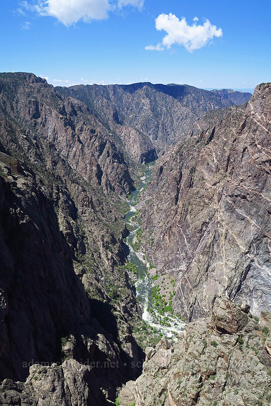 Gunnison River [Cedar Point, Black Canyon of the Gunnison National Park, Montrose County, Colorado]