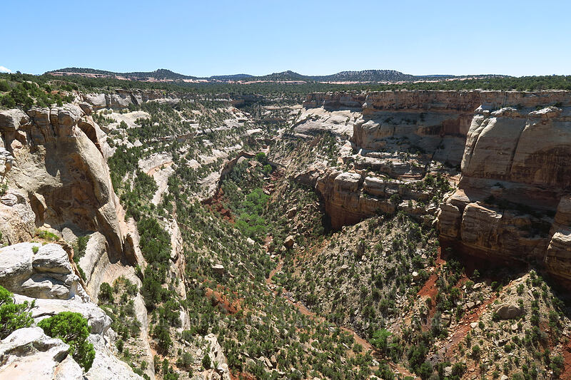 Columbus Canyon [Cold Shivers Point, Colorado National Monument, Mesa County, Colorado]