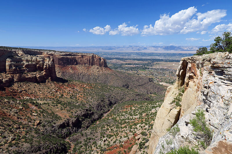 Columbus Canyon [Cold Shivers Point, Colorado National Monument, Mesa County, Colorado]