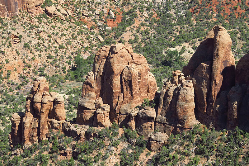 Squaw Fingers [Artist's Point, Colorado National Monument, Mesa County, Colorado]