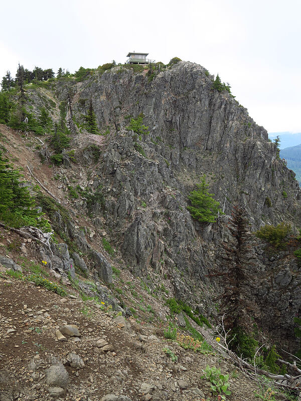Coffin Mountain Lookout [Coffin Mountain Lookout Trail, Willamette National Forest, Linn County, Oregon]