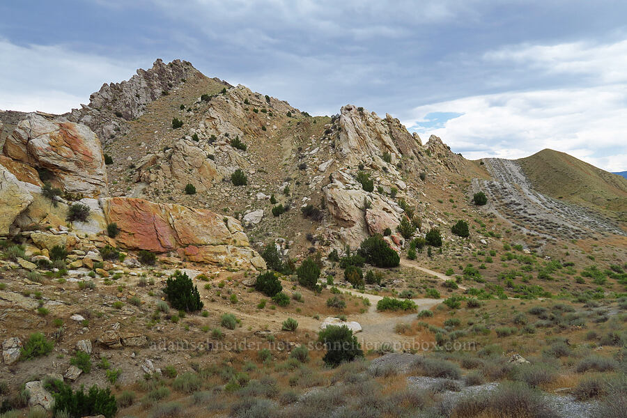 tilted fossil beds [Fossil Discovery Trail, Dinosaur National Monument, Uintah County, Utah]
