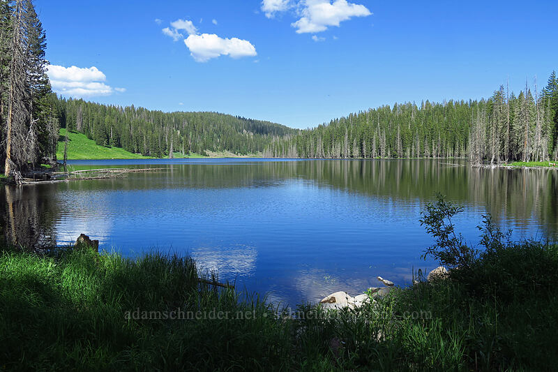 Upper Eggleston Lake [Crag Crest Trail, Grand Mesa National Forest, Delta County, Colorado]