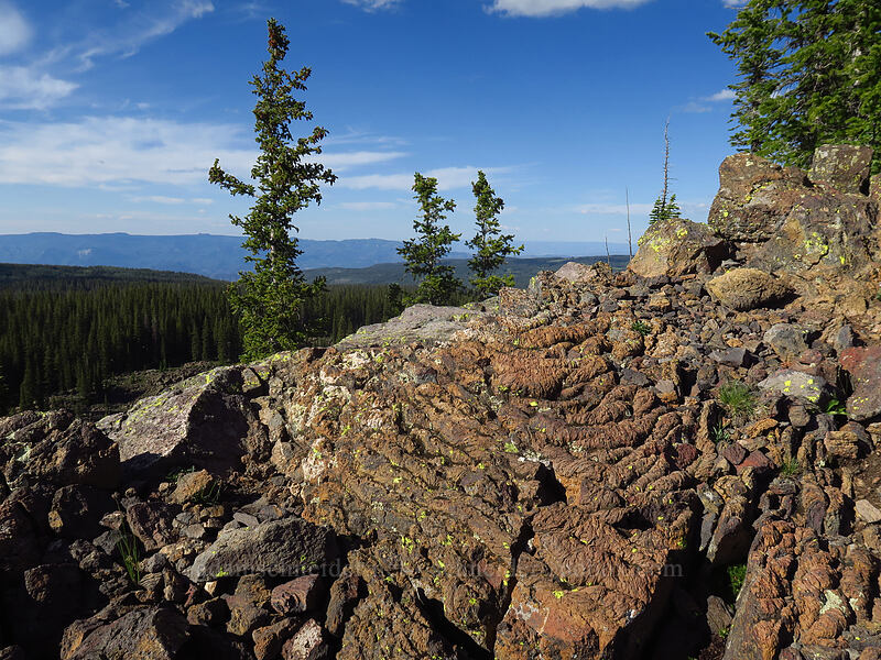 folded lava [Crag Crest Trail, Grand Mesa National Forest, Mesa County, Colorado]