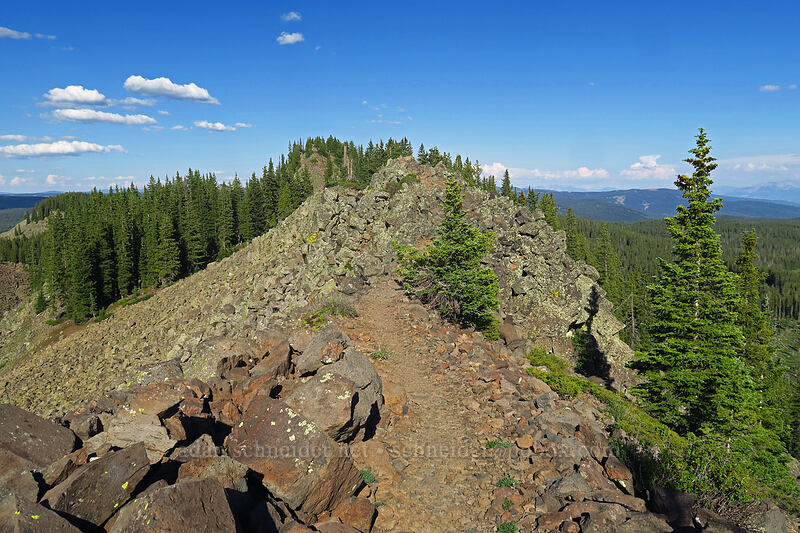 Crag Crest [Crag Crest Trail, Grand Mesa National Forest, Delta County, Colorado]