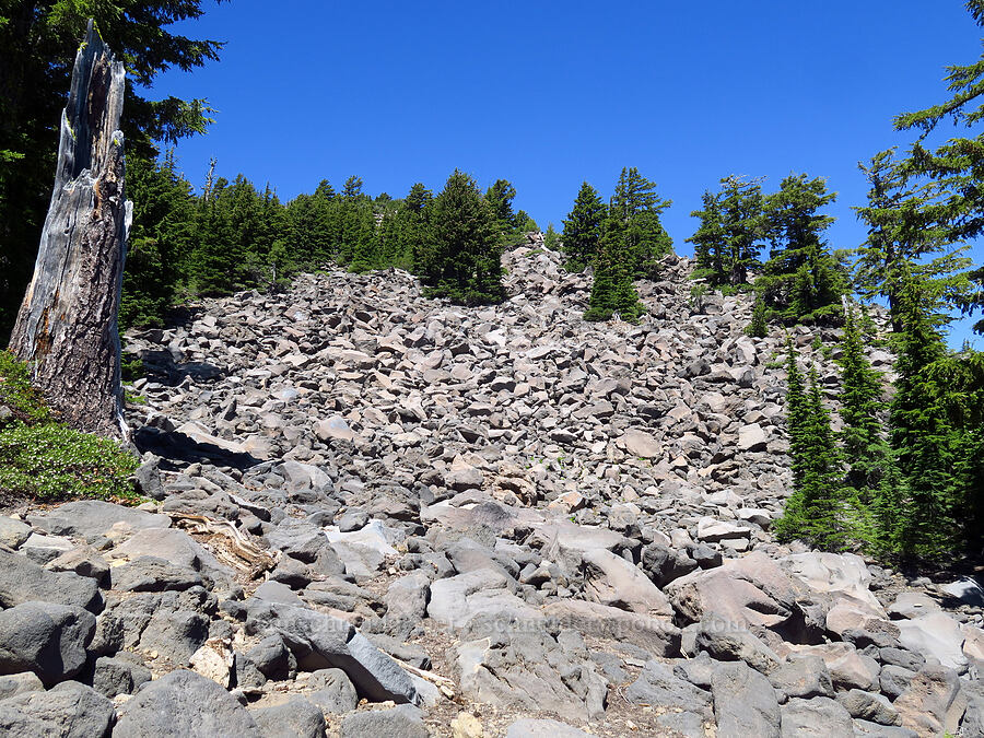 talus [Mt. McLoughlin Trail, Sky Lakes Wilderness,  County, Oregon]
