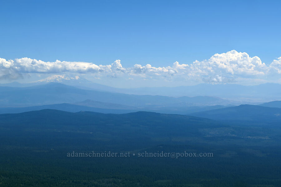 Mount Shasta & The Eddys [Mt. McLoughlin summit, Sky Lakes Wilderness,  County, Oregon]