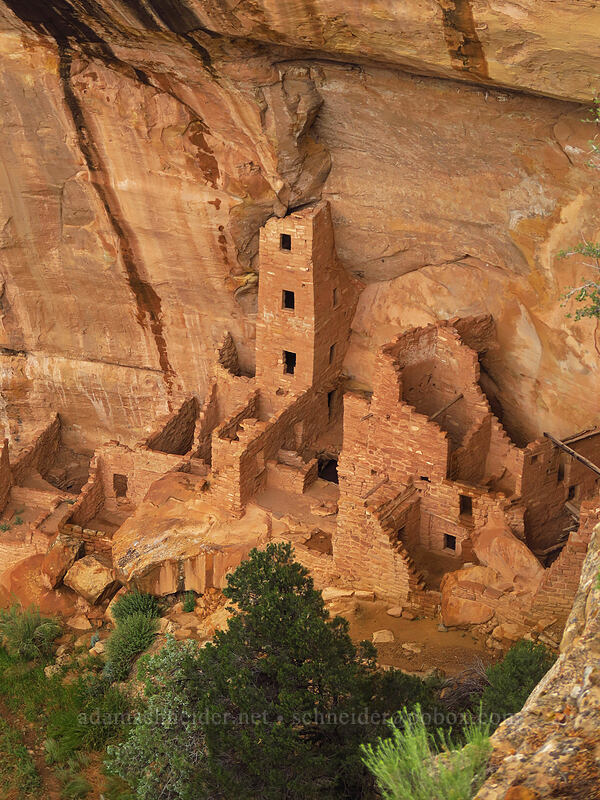 Square Tower House [Square Tower House Overlook, Mesa Verde National Park, Montezuma County, Colorado]