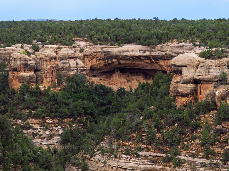 Cliff Palace [Sun Point Overlook, Mesa Verde National Park, Montezuma County, Colorado]