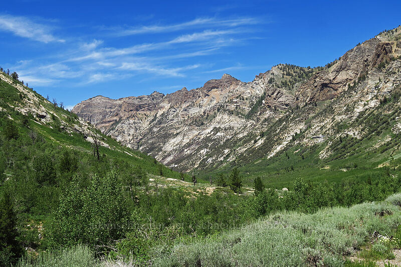 Lamoille Canyon [Lamoille Canyon Road, Humboldt-Toiyabe National Forest, Elko County, Nevada]