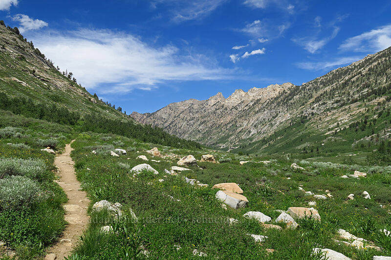 Lamoille Canyon & Verdi Peak [Island Lake Trail, Humboldt-Toiyabe National Forest, Elko County, Nevada]