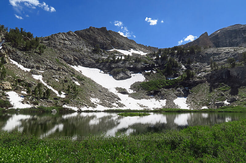 Island Lake [Island Lake, Humboldt-Toiyabe National Forest, Elko County, Nevada]