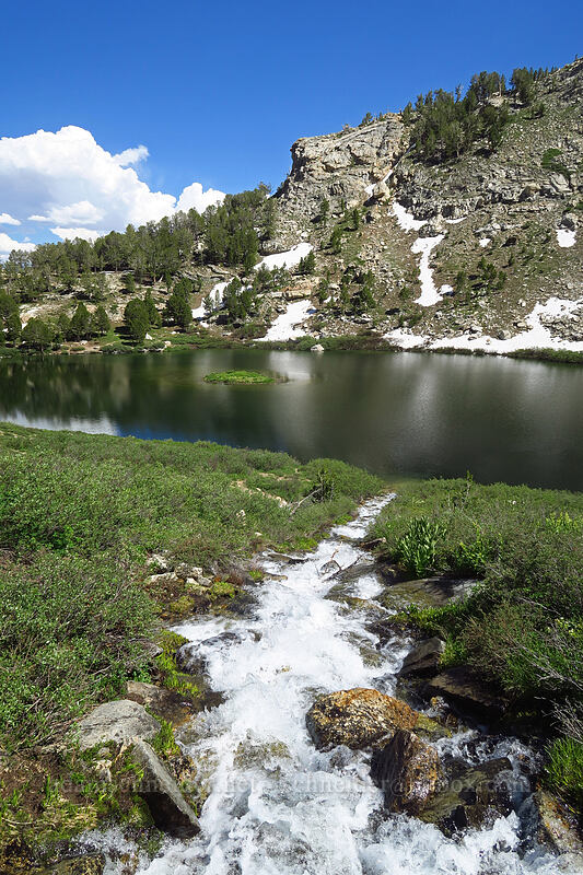 stream above Island Lake [Island Lake, Humboldt-Toiyabe National Forest, Elko County, Nevada]