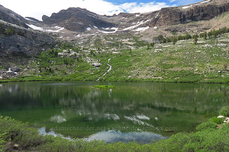 Island Lake [Island Lake, Humboldt-Toiyabe National Forest, Elko County, Nevada]
