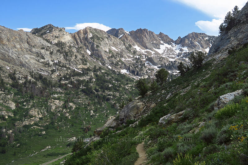 head of Lamoille Canyon [Island Lake Trail, Humboldt-Toiyabe National Forest, Elko County, Nevada]
