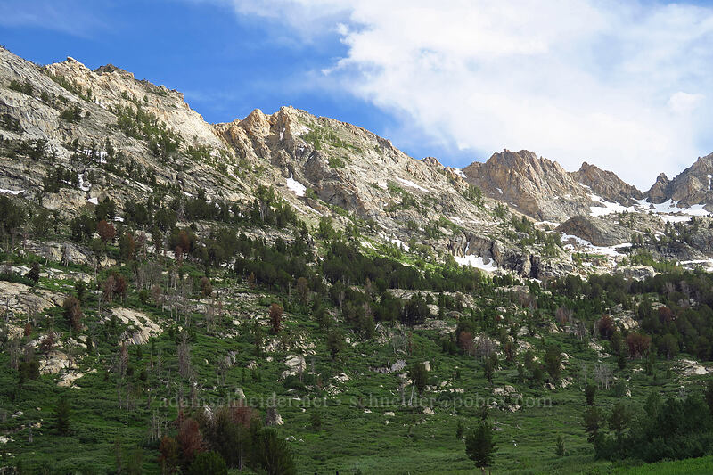 walls of Lamoille Canyon [Lamoille Canyon Road, Humboldt-Toiyabe National Forest, Elko County, Nevada]