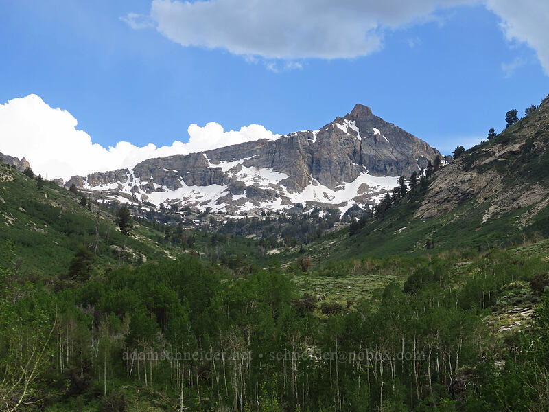 Mt. Fitzgerald & Thomas Canyon [Lamoille Canyon Road, Humboldt-Toiyabe National Forest, Elko County, Nevada]