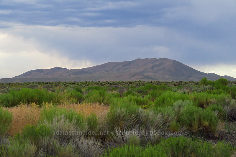 East Humboldt Mountains [I-80, Elko County, Nevada]
