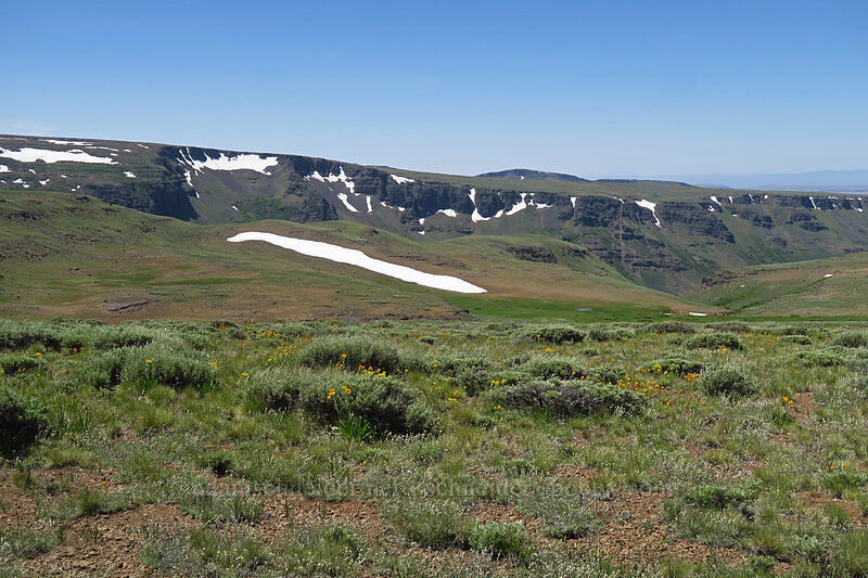 Little Blitzen Gorge [North Loop Road, Steens Mountain, Harney County, Oregon]