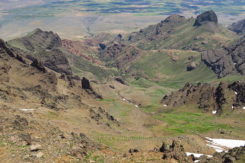 top of Cottonwood Creek [East Rim Viewpoint, Steens Mountain, Harney County, Oregon]