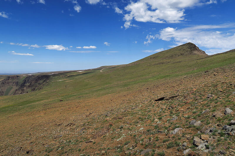 Peak 9686 [Wildhorse Lake Trail, Steens Mountain, Harney County, Oregon]