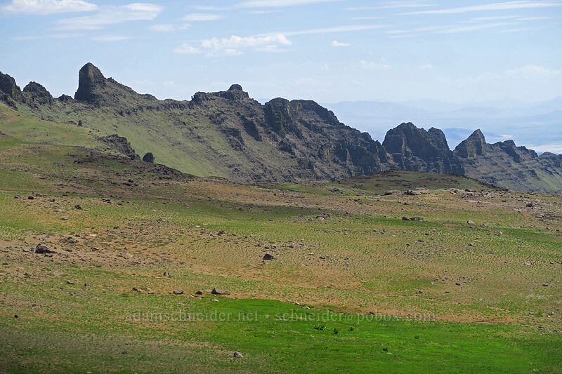 east wall of Wildhorse Canyon [Wildhorse Lake Trail, Steens Mountain, Harney County, Oregon]