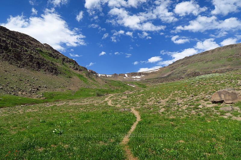 Wildhorse Lake Basin [Wildhorse Lake Trail, Steens Mountain, Harney County, Oregon]