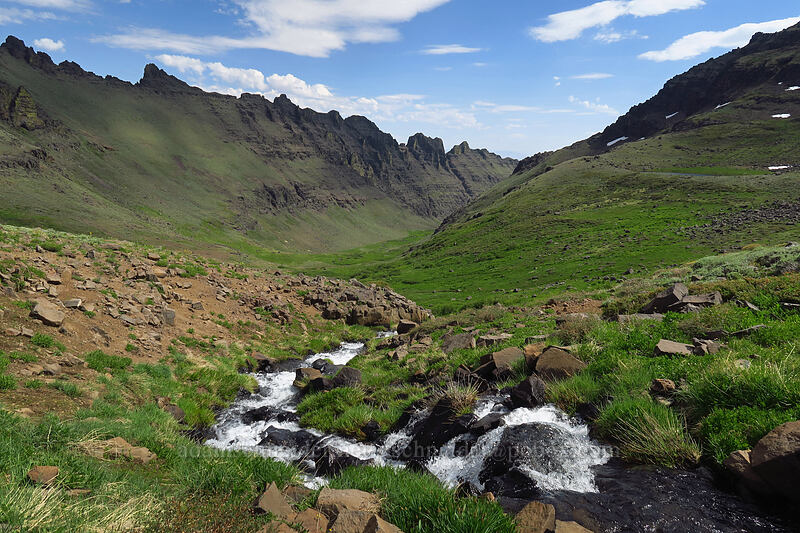 Wildhorse Canyon [Wildhorse Lake Trail, Steens Mountain, Harney County, Oregon]