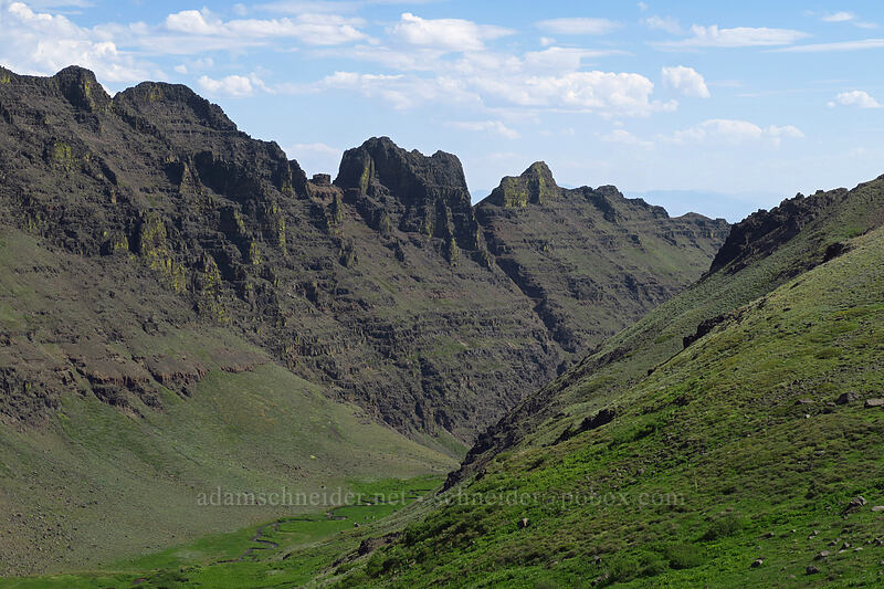 Wildhorse Canyon [Wildhorse Lake Trail, Steens Mountain, Harney County, Oregon]