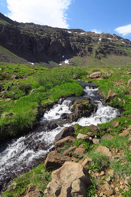 stream below Wildhorse Lake [Wildhorse Lake Trail, Steens Mountain, Harney County, Oregon]