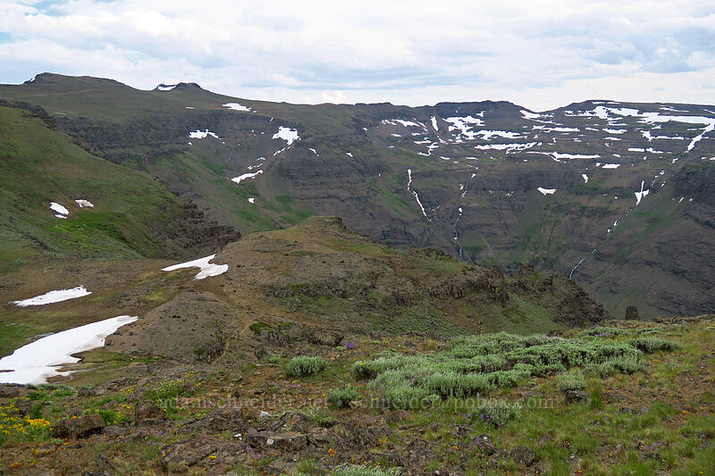 top of Big Indian Gorge [South Loop Road, Steens Mountain, Harney County, Oregon]