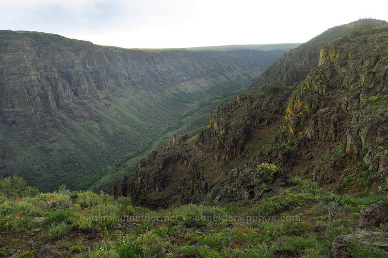 LIttle Blitzen Gorge [South Loop Road, Steens Mountain, Harney County, Oregon]