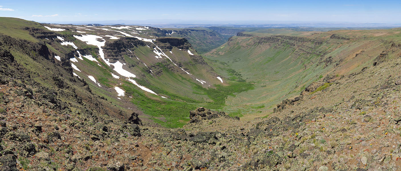 Little Blitzen Gorge panorama [North Loop Road, Steens Mountain, Harney County, Oregon]