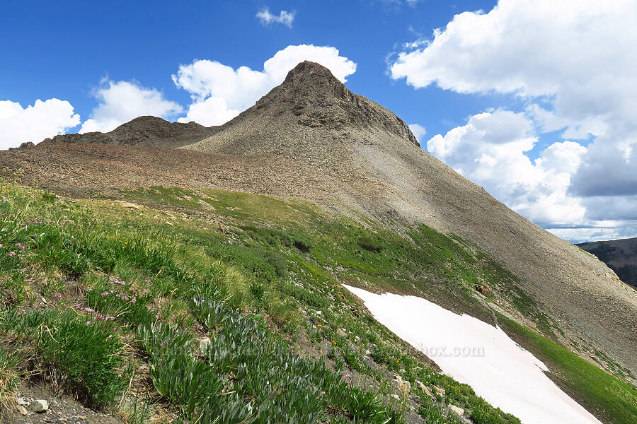 Sharkstooth Peak [Sharkstooth Pass, San Juan National Forest, Montezuma County, Colorado]