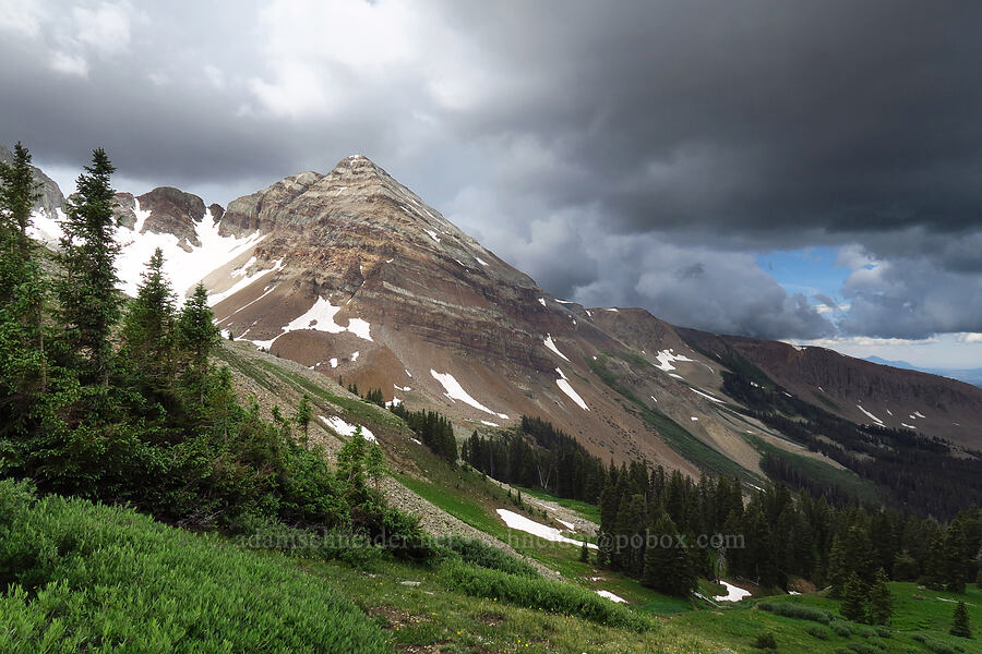 Hesperus Mountain & gathering storm clouds [Sharkstooth Trail, San Juan National Forest, Montezuma County, Colorado]