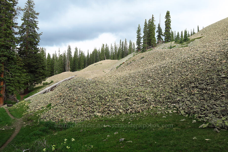 rock glacier [Sharkstooth Trail, San Juan National Forest, Montezuma County, Colorado]
