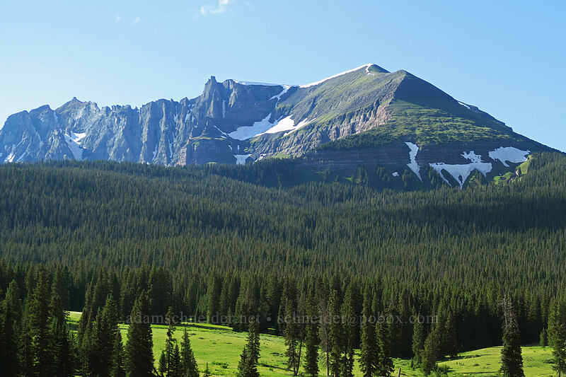 Sheep Mountain [Lizard Head Pass, Uncompaghre National Forest, San Miguel County, Colorado]