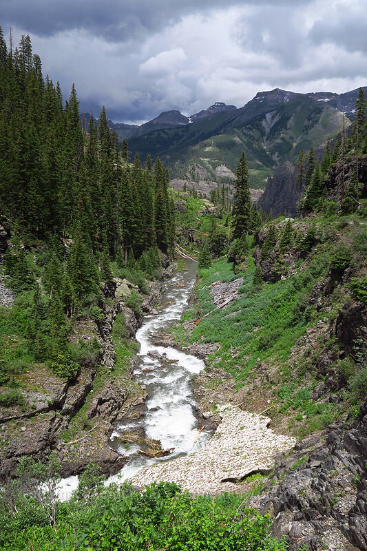 Bridal Veil Creek [Bridal Veil Trail, Uncompaghre National Forest, San Miguel County, Colorado]