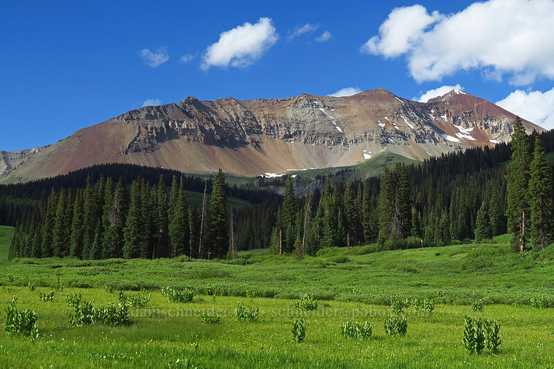 Mount Wilson massif [Dunton Road, San Juan National Forest, Dolores County, Colorado]