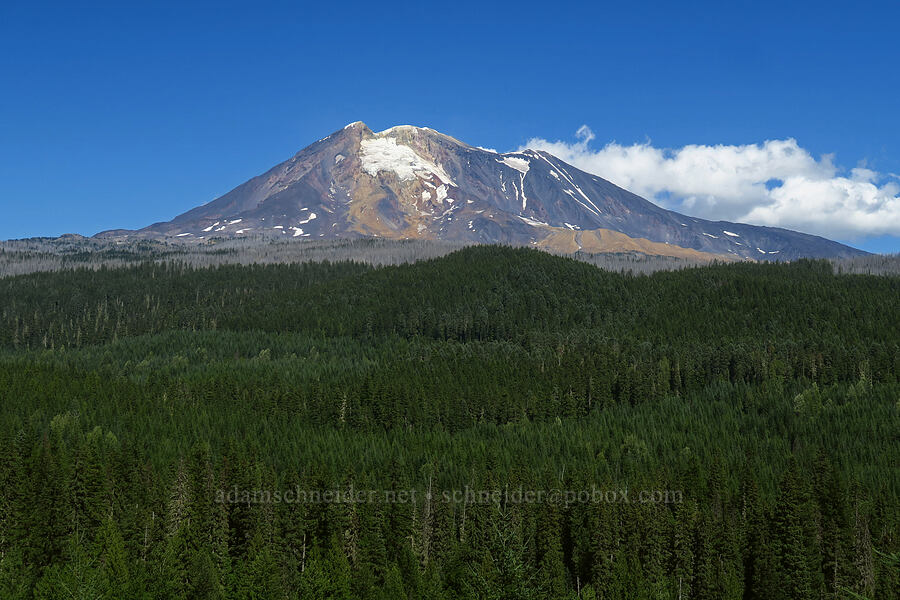Mount Adams [Forest Road 23, Gifford Pinchot National Forest, Skamania County, Washington]